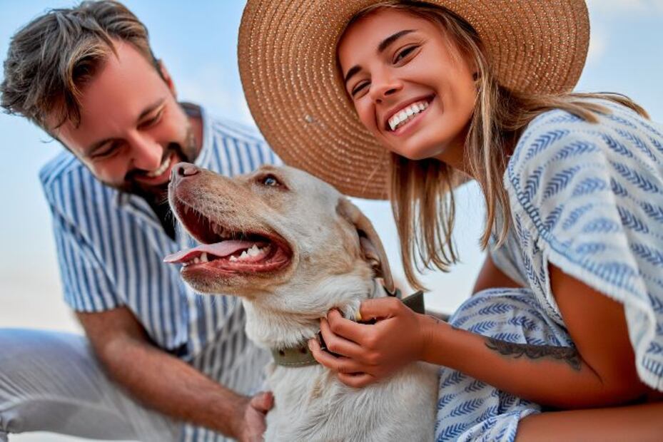 ¿Eres una pareja DINK y DINKY? Sin hijos, pero con carreras exitosas