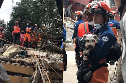 ¡Los amigos de los mexicanos!