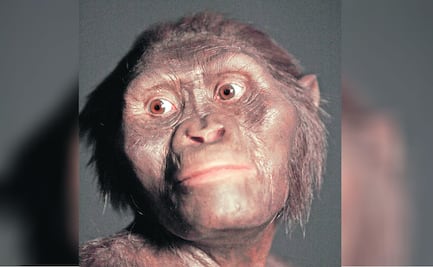 Lucy, el hallazgo de un humanoide que explicó nuestra evolución