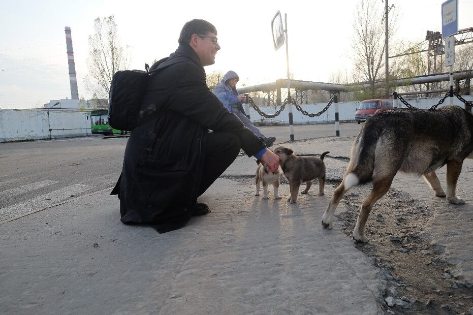 Los “perros radioactivos” de Chernobyl necesitan de tu ayuda