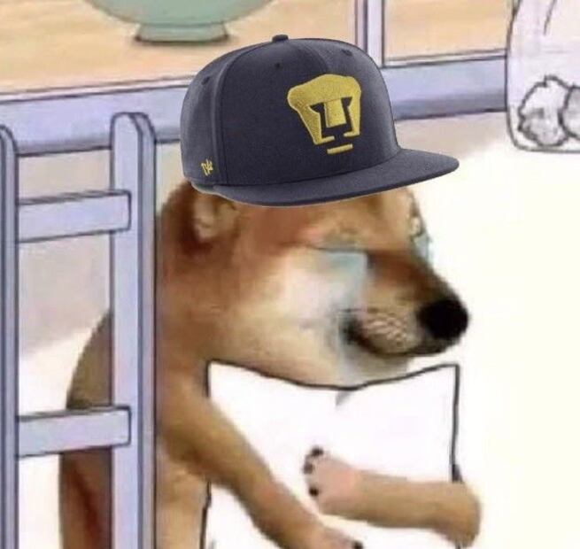Los mejores memes tras el Pumas vs Cruz Azul