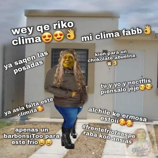 10 memes que nos representan en esta época de frío en México