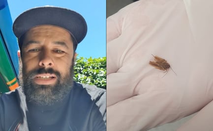 Fue al médico por una molestia en el oído… ¡y le sacaron una cucaracha!