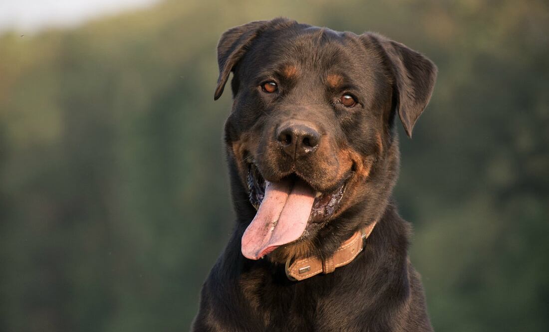 Foto: Rebecca Schönbrodt-Rühl / Pixabay