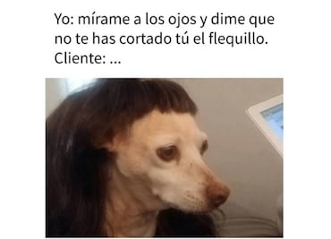 10 memes para celebrar con mucho humor el Día del Peluquero