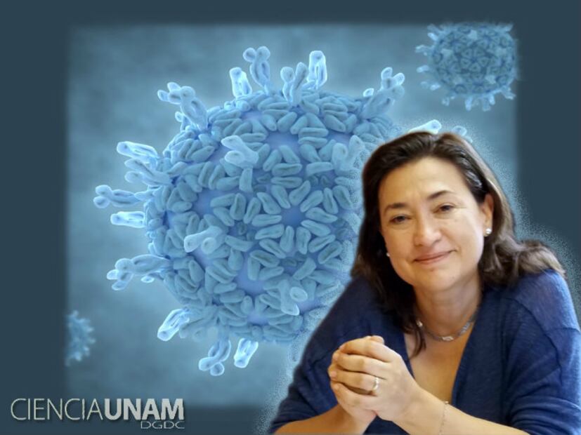 5 mujeres mexicanas que destacan en la ciencia