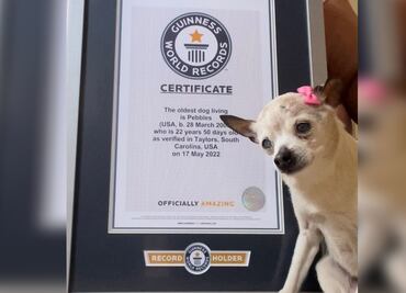 Pebbles es la perrita más longeva del mundo, pues ha vivido 22 años