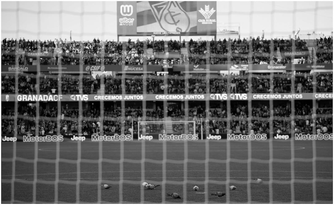 Estadio Los Cármenes de Granada en el encuentro ante Athletic de Bilbao / FOTO: AFP