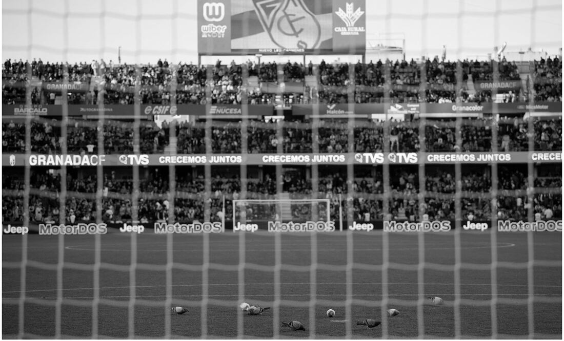 Estadio Los Cármenes de Granada en el encuentro ante Athletic de Bilbao / FOTO: AFP