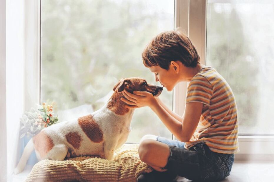 10 cosas que tu perro ama de ti