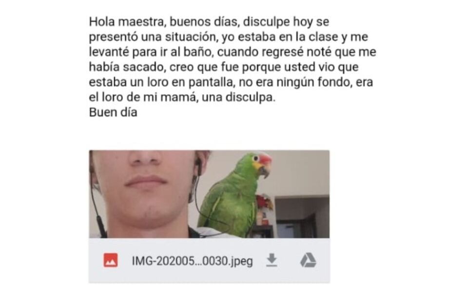 ¡Feliz Día del Maestro! 10 profesores que “la regaron” en clases online