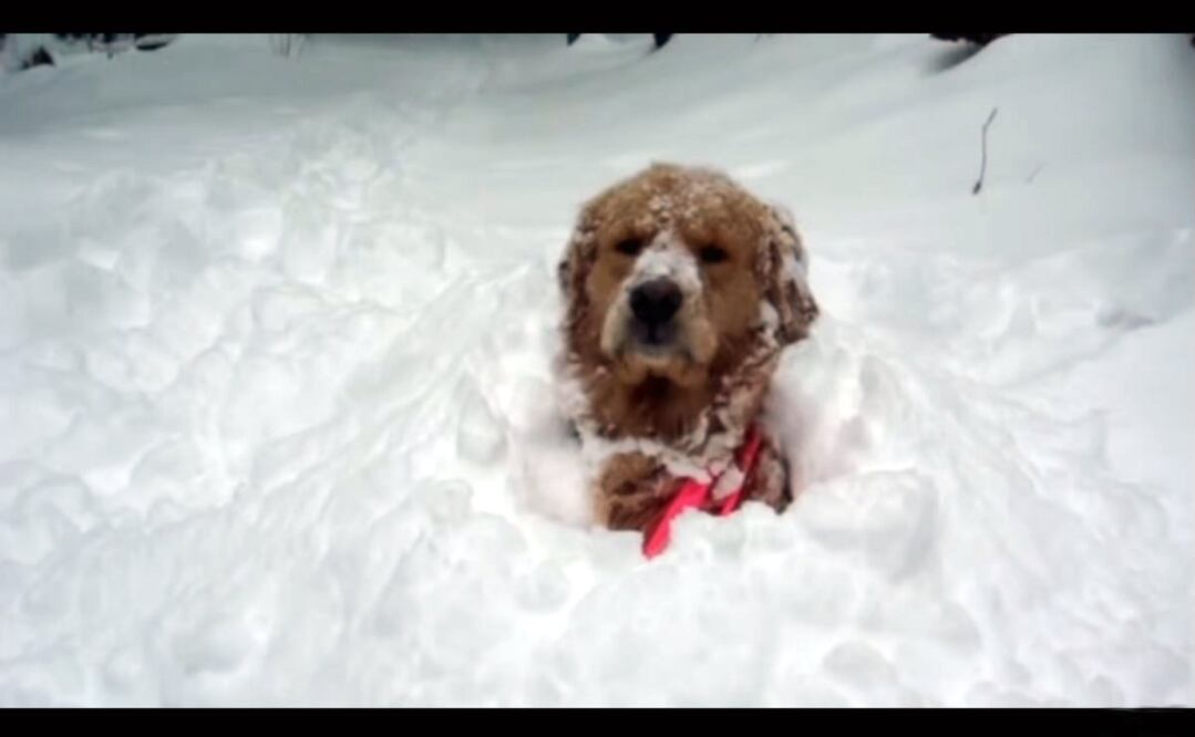 Captura de pantalla de YouTube