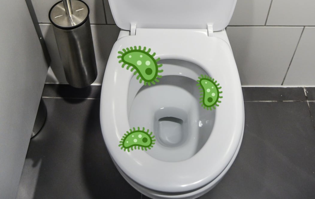 Foto: Michal Jarmoluk en Pixabay