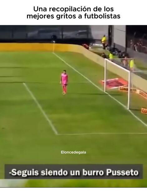 Pumas MEMES