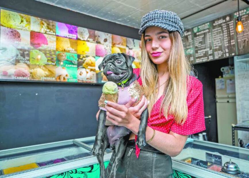 ¿Qué tanto sabes del cuidado y alimentación de tu perro?