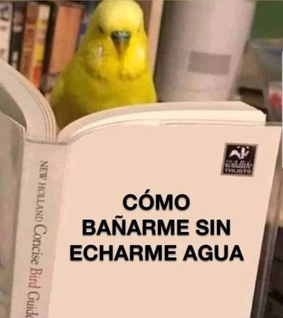 10 memes que nos representan en esta época de frío en México