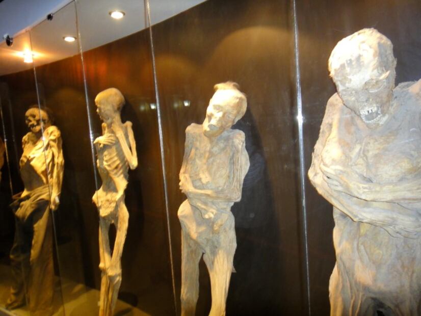 10 museos que TIENES que conocer si te gusta viajar por México 