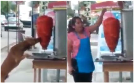 Perrito muerde trompo de carne al pastor y se vuelve viral