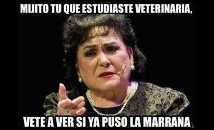 Los 10 mejores memes para festejar el  Día del Veterinario