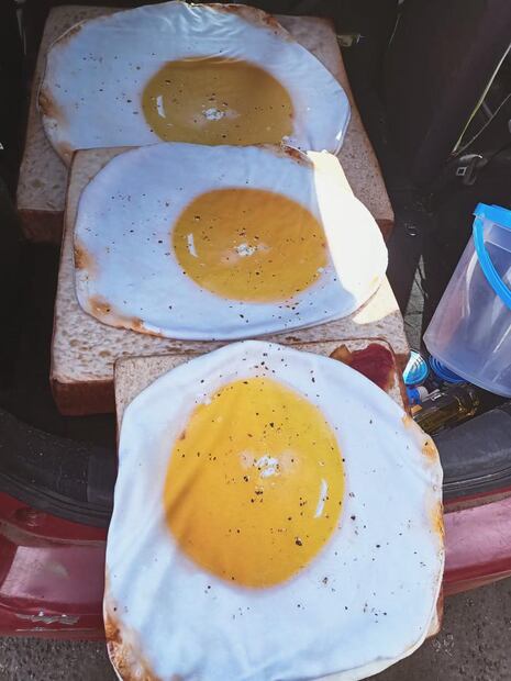 Para ayudar a perritos enfermos, refugio vende camas ¡con forma de comida!