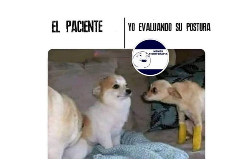 Foto: Instagram @fisoterapia_memes