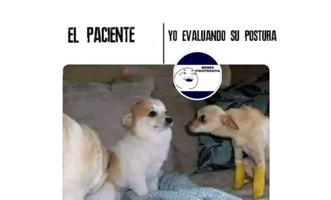 Foto: Instagram @fisoterapia_memes
