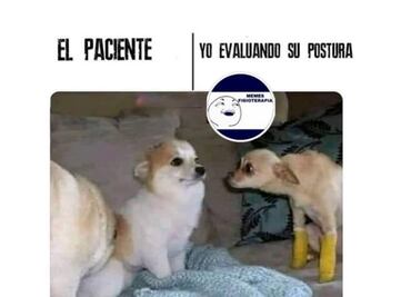 10 divertidos memes para festejar el Día del Fisioterapeuta