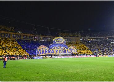 Tigres vs Pumas: El espectacular mosaico y tifo de la afición regia
