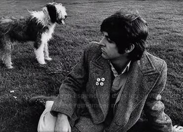 10 canciones famosas que fueron inspiradas por perros