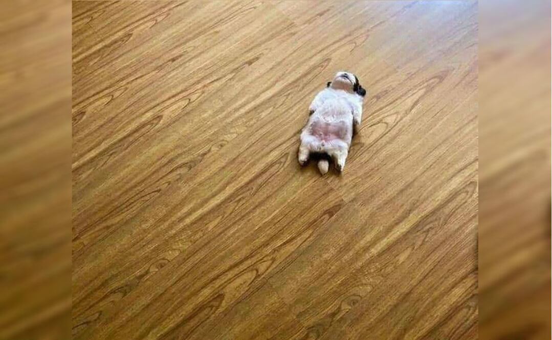 Foto: Twitter Lean @LeandroNV10