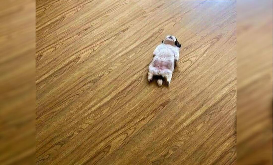 Foto: Twitter Lean @LeandroNV10