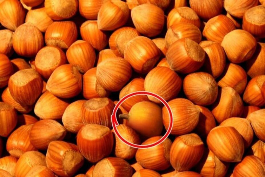 Demuestra que eres la persona con mayor experiencia y destreza para resolver estos retos visuales. Fuente: Genial.guru