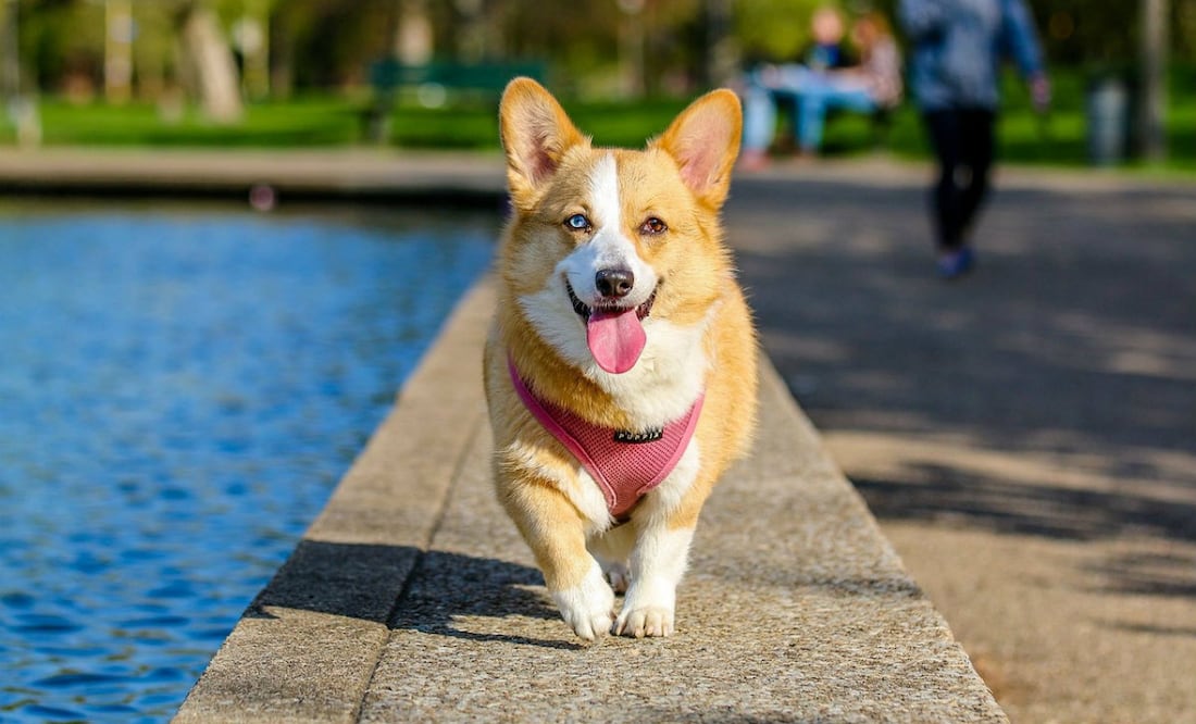 Imagen de Pexels en Pixabay