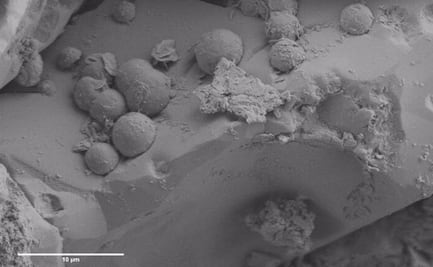 Un antiguo meteorito puede revelar el origen de la vida en la Tierra