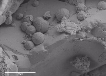 Un antiguo meteorito puede revelar el origen de la vida en la Tierra