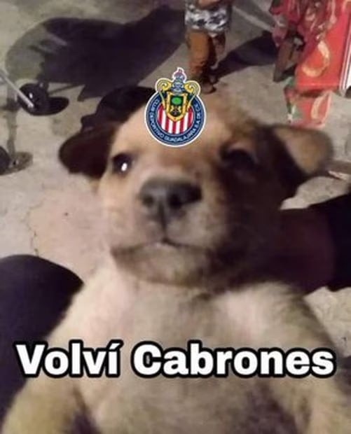 Foto: Especial