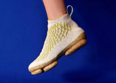 Diseñan tenis biodegradables hechos con pelo de perro