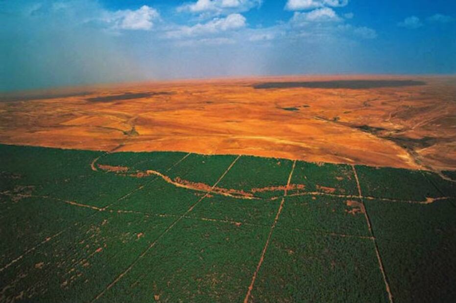 El muro de árboles que traerá riqueza a África 