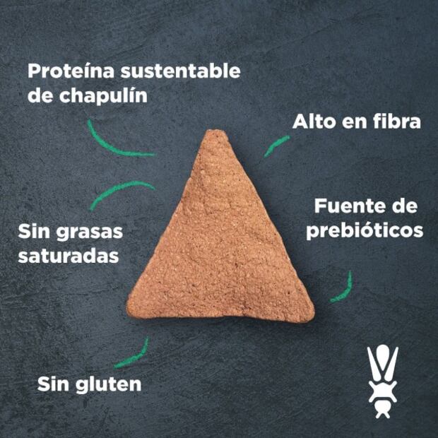 Alumnas del Tec de Monterrey crean alimento de chapulines alto en proteína