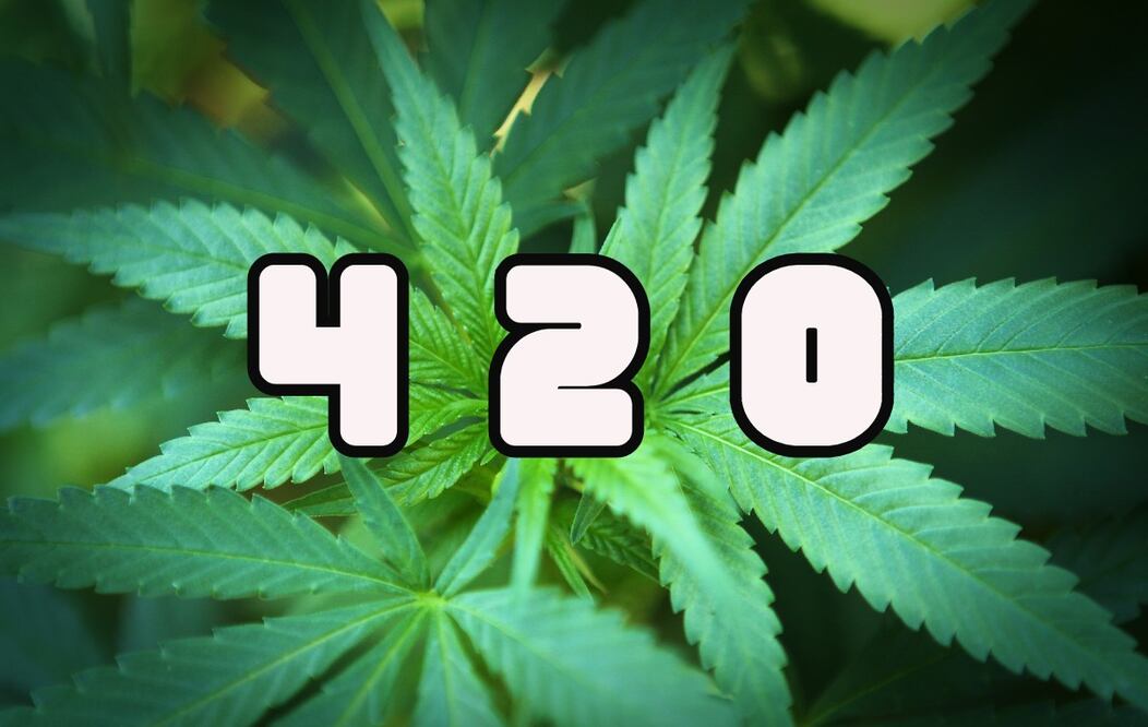 Foto: Stephen VanHove en Pixabay