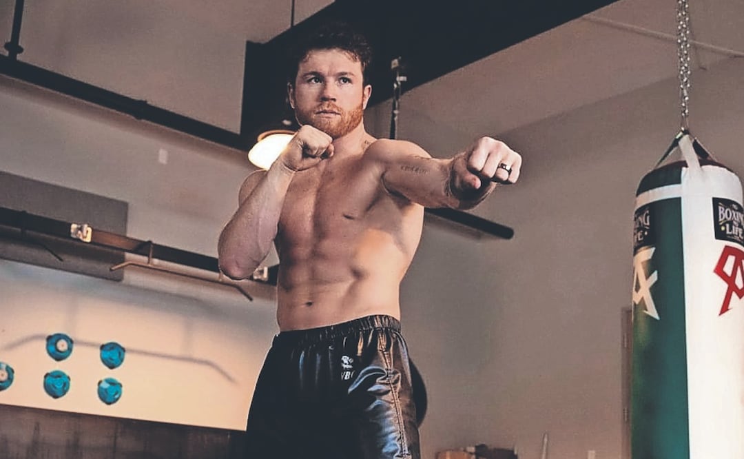 El Canelo Álvarez ya eligió rival para pelear en Septiembre
