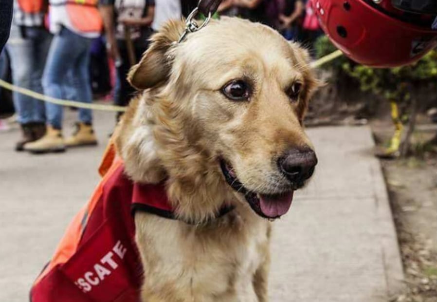 Janeth y Nala, el binomio femenino que rescató a siete en la fábrica de Chimalpopoca