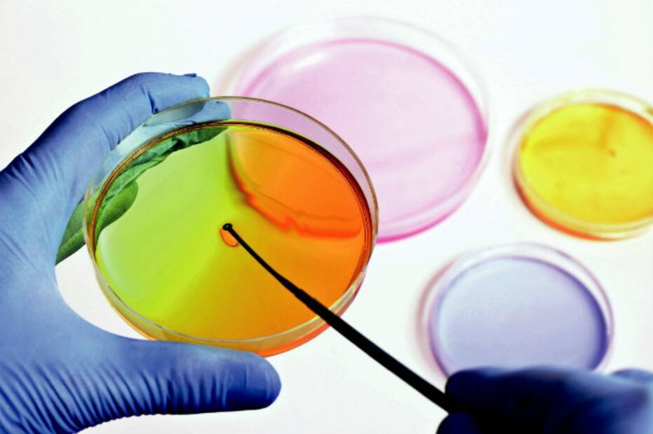 Louis Pasteur, el genio que desmintió a Aristóteles 