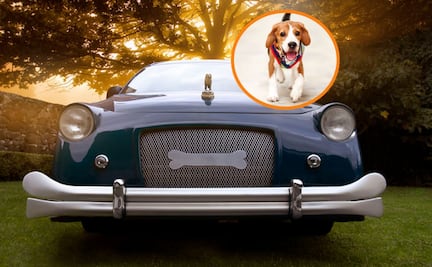 Crean funeral de lujo para despedir a las mascotas