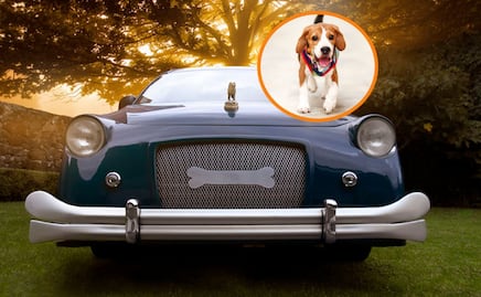 Crean funeral de lujo para despedir a las mascotas