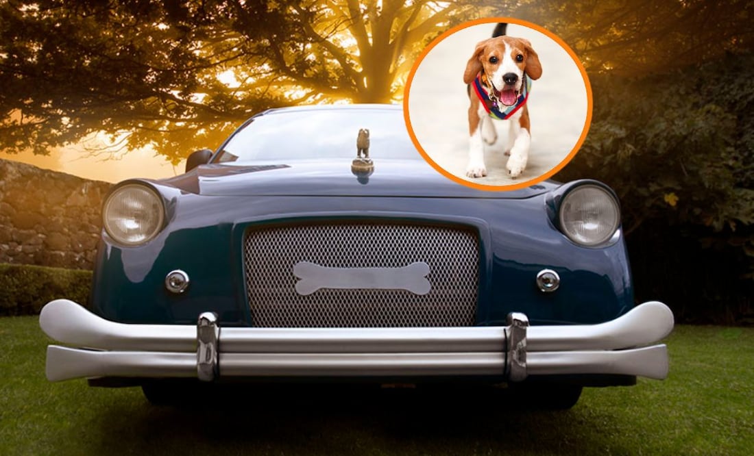 Foto: Cortesía Bye Bye Friend