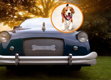 Crean funeral de lujo para despedir a las mascotas