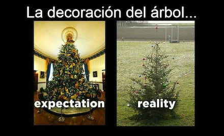 10 fotos que muestran la expectativa y realidad de nuestra Navidad