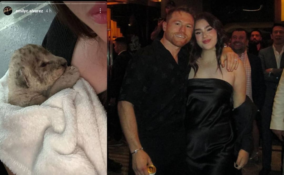 El Canelo Álvarez suele consentir mucho a su hija,  Emily Cinnamon Álvarez. Foto: Especial