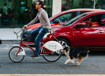 Las 10 colonias de CDMX con más ciclistas